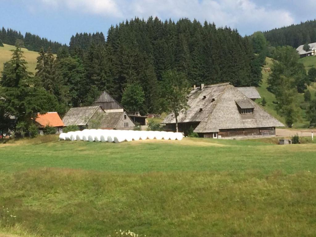 Kuckuckstraum Διαμέρισμα Schönwalde Εξωτερικό φωτογραφία